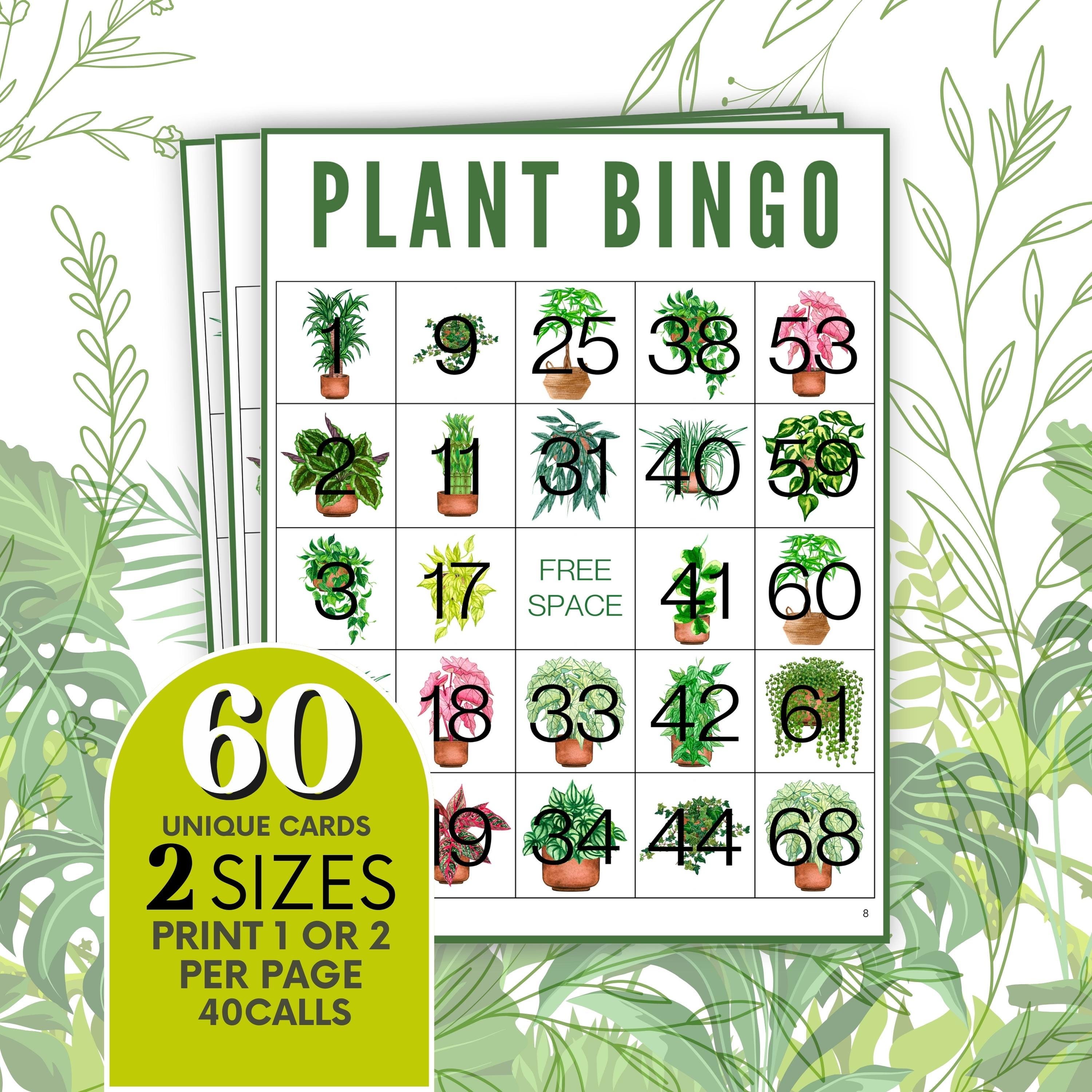 植物ビンゴゲーム：60種類のユニークなカード、家族で楽しめるゲーム
