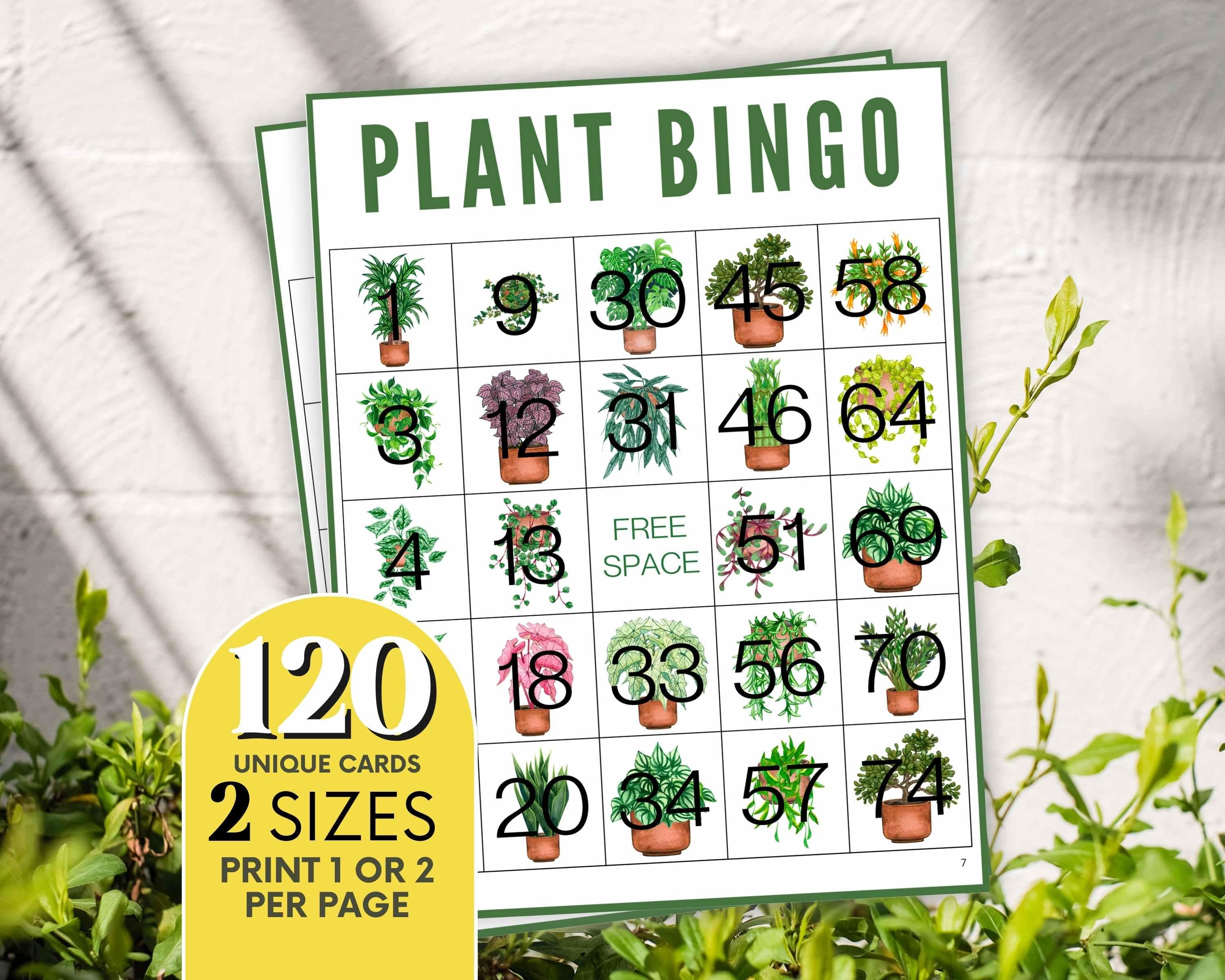 ［新品きれいな稀少品］植木等の CD ビンゴゲーム［B］ 植物ビンゴゲーム：楽しい室内アクティビティ、ユニークなカード120枚