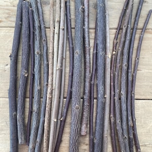 Wooden sticks wooden stick natural wood hazelnut branch twig style for mushrooms autumn decoration 18 pieces approx. 35 cm local wood