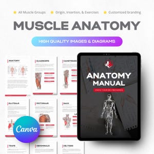 Modèle d'anatomie humaine, guide de la bibliothèque des groupes musculaires, corps humain, manuel de biologie des sciences du sport avec images