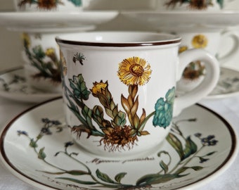 Vtg. Villeroy & Boch, Botanica, Tasse und Untertasse, ausgezeichnet