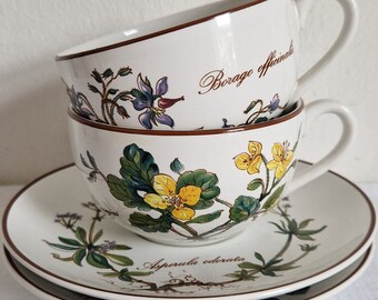 Vtg. Villeroy & Boch, Botanica, Teeservice, Tasse und Untertasse, ausgezeichnet