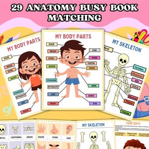 Könnte beinhalten: Ein Satz druckbarer Anatomie-Beschäftigungsbuchseiten für Kinder. Die Seiten zeigen Illustrationen des menschlichen Körpers, einschließlich des Skeletts und der Körperteile. Die Seiten sollen Kindern helfen, den menschlichen Körper kennenzulernen.