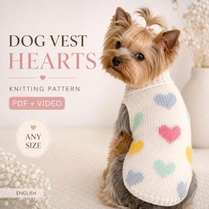 May include: A small dog wearing a cream-colored knitted vest featuring a pattern of pastel-colored hearts. The text on the image reads: DOG VEST HEARTS, KNITTING PATTERN, PDF + VIDEO, ANY SIZE, ENGLISH. The vest has a ribbed collar and hem.