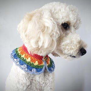 Può includere: Un cane bianco con pelo riccio indossa un collare all'uncinetto dai colori dell'arcobaleno. Il collare ha un bordo smerlato e una chiusura con bottone. I colori del collare includono rosso, arancione, giallo, verde e blu.