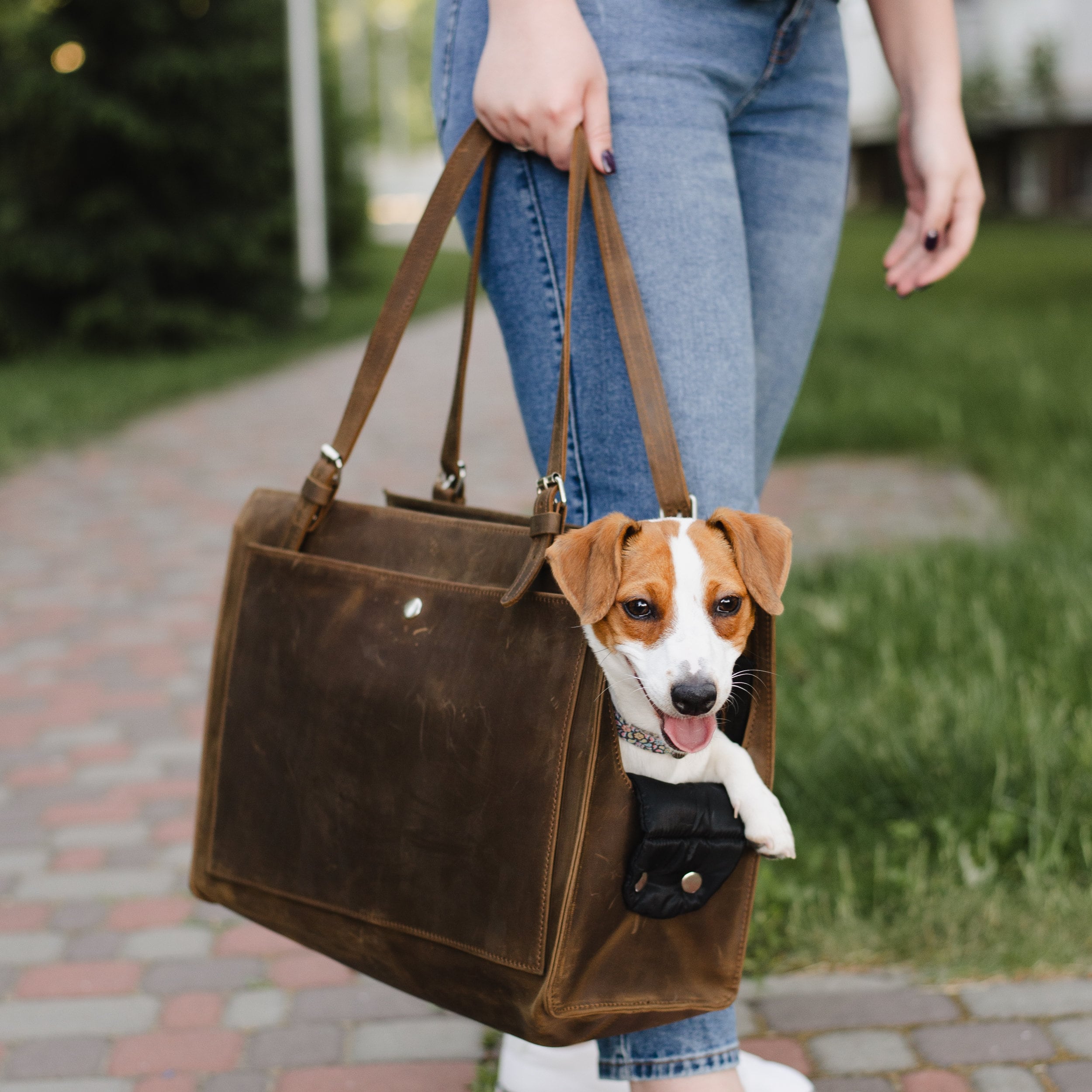 Custom Dog Bag Dog Tote Bag Leather Dog Purse Dog Travel Bag Dog Bag for Travel Dog Walking Bag Personalized Pet Carrier Etsy