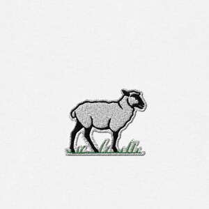 May include: A white sheep with black outlines stands on a patch of green grass.