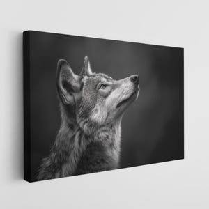 Black and White Wolf Canvas Home Decor Wall Hanging Canvas Print