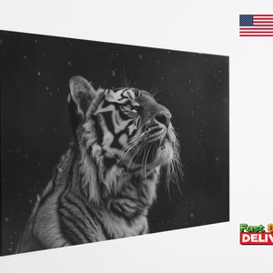 Puede incluir: Una fotograf&iacute;a en blanco y negro de un tigre mirando hacia arriba. El tigre est&aacute; enfocado, mientras que el fondo est&aacute; desenfocado y tiene una textura granulada.