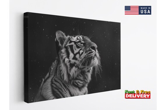 Tiger Photo Canvas Art Print, Black and White Striped Tiger Portrait (Multiple Sizes, Durable Pigment Ink, Ready to Hang)