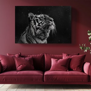 Puede incluir: Una fotograf&iacute;a en blanco y negro de un tigre mirando hacia arriba con un fondo nevado.