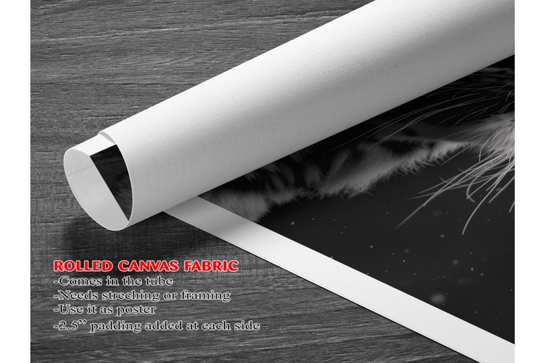 Puede incluir: Una impresi&oacute;n en lienzo enrollado en blanco y negro de la cara de un tigre. La impresi&oacute;n est&aacute; enrollada y tiene un borde blanco. El texto "ROLLED CANVAS FABRIC" es visible en la parte inferior de la imagen. El texto debajo del t&iacute;tulo dice: "Comes in the tube", "Needs stretching or framing", "Use it as poster", "2.5" padding added at each side".