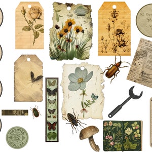 Ultimate Nature Journals Collage Kit 60 Printable Papers & 100 PNG Elements Collection Spring Nature Field Notes Vintage Kit zdjęcie 3