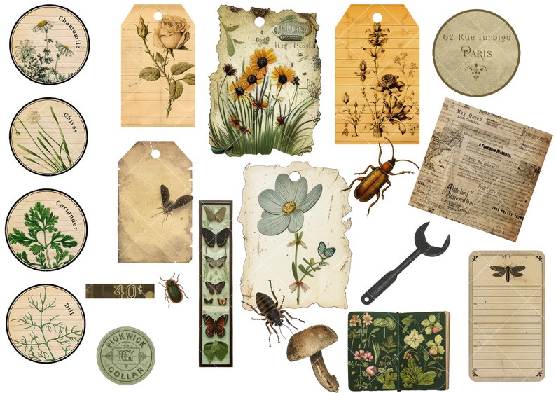 Ultimate Nature Journals Collage Kit 60 Printable Papers & 100 PNG Elements Collection Spring Nature Field Notes Vintage Kit zdjęcie 3