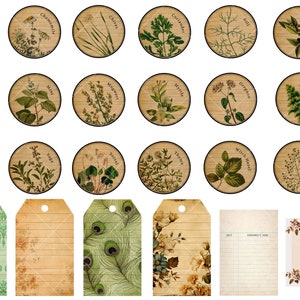 Ultimate Nature Journals Collage Kit 60 Printable Papers & 100 PNG Elements Collection Spring Nature Field Notes Vintage Kit zdjęcie 5