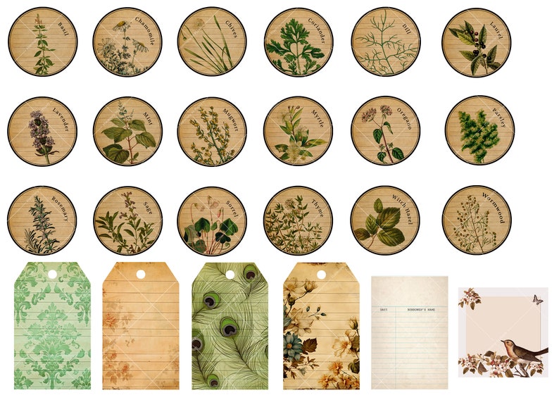 Ultimate Nature Journals Collage Kit 60 Printable Papers & 100 PNG Elements Collection Spring Nature Field Notes Vintage Kit image 5