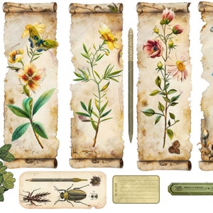 Ultimate Nature Journals Collage Kit 60 Printable Papers & 100 PNG Elements Collection Spring Nature Field Notes Vintage Kit image 4