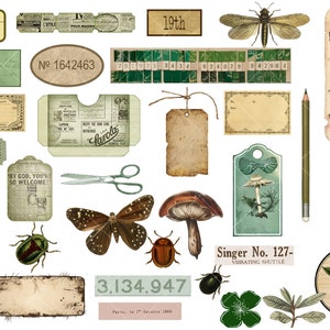 Ultimate Nature Journals Collage Kit 60 Printable Papers & 100 PNG Elements Collection Spring Nature Field Notes Vintage Kit image 2