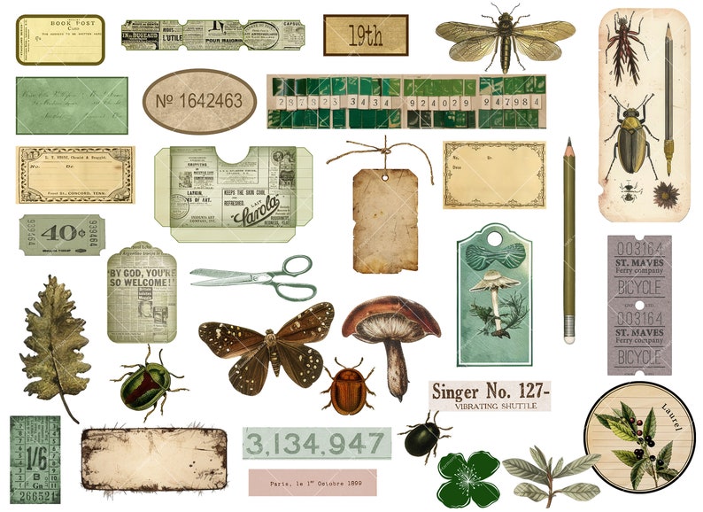 Ultimate Nature Journals Collage Kit 60 Printable Papers & 100 PNG Elements Collection Spring Nature Field Notes Vintage Kit image 2