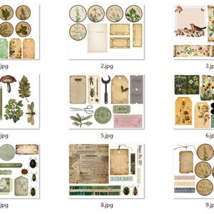 Ultimate Nature Journals Collage Kit 60 Printable Papers & 100 PNG Elements Collection Spring Nature Field Notes Vintage Kit image 9