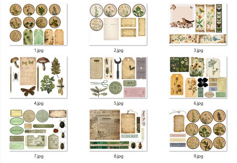 Ultimate Nature Journals Collage Kit 60 Printable Papers & 100 PNG Elements Collection Spring Nature Field Notes Vintage Kit image 9