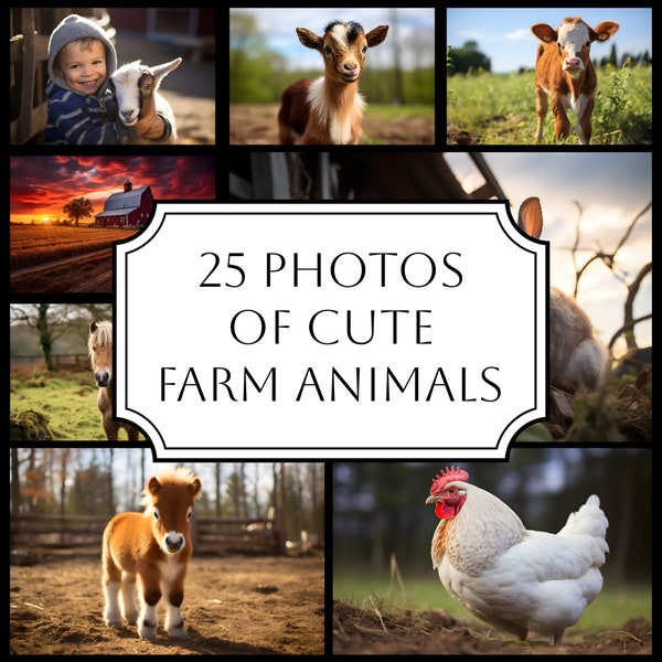 Set of 25 Cute Farm animals photos, Digital country Backdrop, animals background, rustic farms, goat alpaca lama horse pig goose sheep