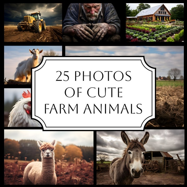 Set of 25 Cute Farm animals photos, Digital country Backdrop of chicken goat alpaca lama horse sheep, animals background, rustic farms.