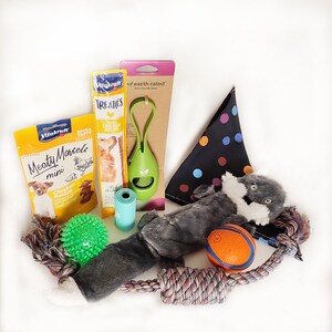Dog gift box, dog gift basket, dog toys and treats, presents for dogs