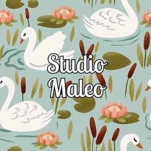 May include: A light blue background with white swans swimming in a pond.  The pond is decorated with green lily pads, pink water lilies, and brown reeds.  The text "Studio Maleo" is in the center of the image.