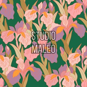 May include: A seamless pattern featuring stylized iris flowers in shades of pink, purple, and orange against a dark green background. The text STUDIO MALEO is centered in the middle of the image in a bold, sans-serif font with a dark outline.