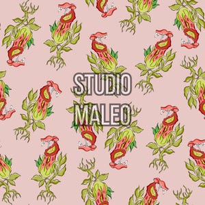 May include: A repeating pattern of stylized pitcher plants in red, green, and yellow on a pink background. The text "STUDIO MALEO" is overlaid on the design. The botanical illustration features detailed leaves and stems.