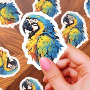 Blue and Gold Macaw Sticker | Brazilian Macaw Decal | Neotropical Parrot | Yellow | Tropical Rainforest | Water and Scratch Resistant Vinyl