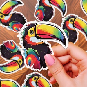 Adesivo tucano / decalcomania tucano brasiliano / adesivo uccello tropicale / animale della foresta pluviale / carino e colorato / vinile resistente ai graffi e all'acqua
