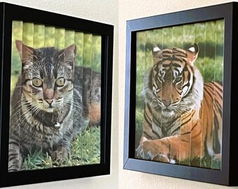 Cat Agamograph: Cat to Tiger Kinetic Art, Custom Pet Portrait in 8x10 Frame
