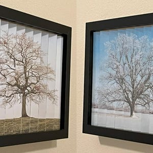 Oak Tree Agamograph: Winter to Spring Kinetic Art in 8&quot; x 10&quot; Frame