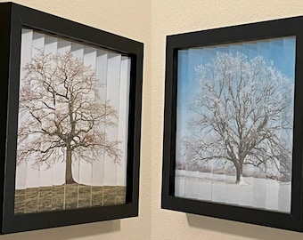 Oak Tree Agamograph: Winter to Spring Kinetic Art in 8" x 10" Frame