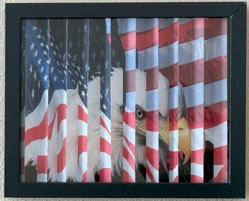 Pu&ograve; includere: Opera d'arte incorniciata con un design stilizzato della bandiera americana con la testa di un'aquila parzialmente visibile. Le strisce rosse e bianche della bandiera sono segmentate verticalmente, creando un effetto visivo unico. L'opera &egrave; racchiusa in una cornice nera.