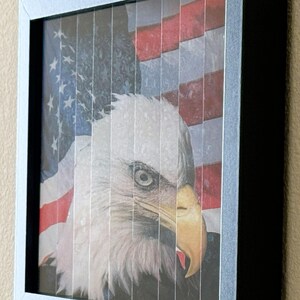 Pu&ograve; includere: Opera d'arte incorniciata con un'immagine dettagliata di un'aquila calva americana sullo sfondo della bandiera americana. La testa bianca e il becco marrone dell'aquila sono in evidenza. L'opera &egrave; in una cornice argentata.