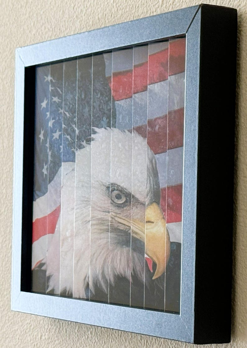 Pu&ograve; includere: Opera d'arte incorniciata con un'immagine dettagliata di un'aquila calva americana sullo sfondo della bandiera americana. La testa bianca e il becco marrone dell'aquila sono in evidenza. L'opera &egrave; in una cornice argentata.