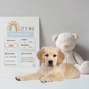 Gotcha Day, Dog Gotcha Day, Gotcha Day Sign, Pet adoption certificate, Puppy adoption, Adoption certificate, Adoption Announce, New Puppy