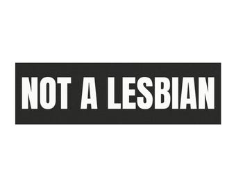 NOT A LESBIAN Car Magnet