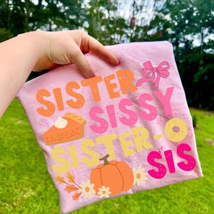 May include: Pink t-shirt with the words "SISTER SISSY SISTER-O SIS" in orange, pink, and yellow. The shirt features illustrations of a pie, a bow, a pumpkin, and flowers.