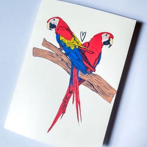 Cartão de felicitações "Scarlet Araras Print at Home" | Download instantâneo | Cartão multiocasião 5x7 | Impressão artística | Inclui envelope para impressão