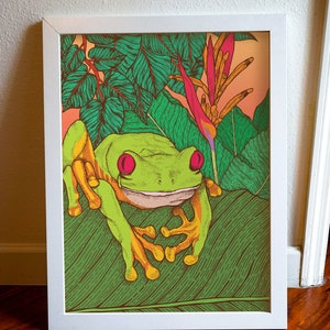 Red Eyed Tree Frog Printable Art | Digital Download | Wall Art | Costa ...