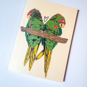 Cartão de felicitações Parrots Print at Home | Download instantâneo | Cartão 5x7 para várias ocasiões | Impressão artística | Inclui envelope para impressão