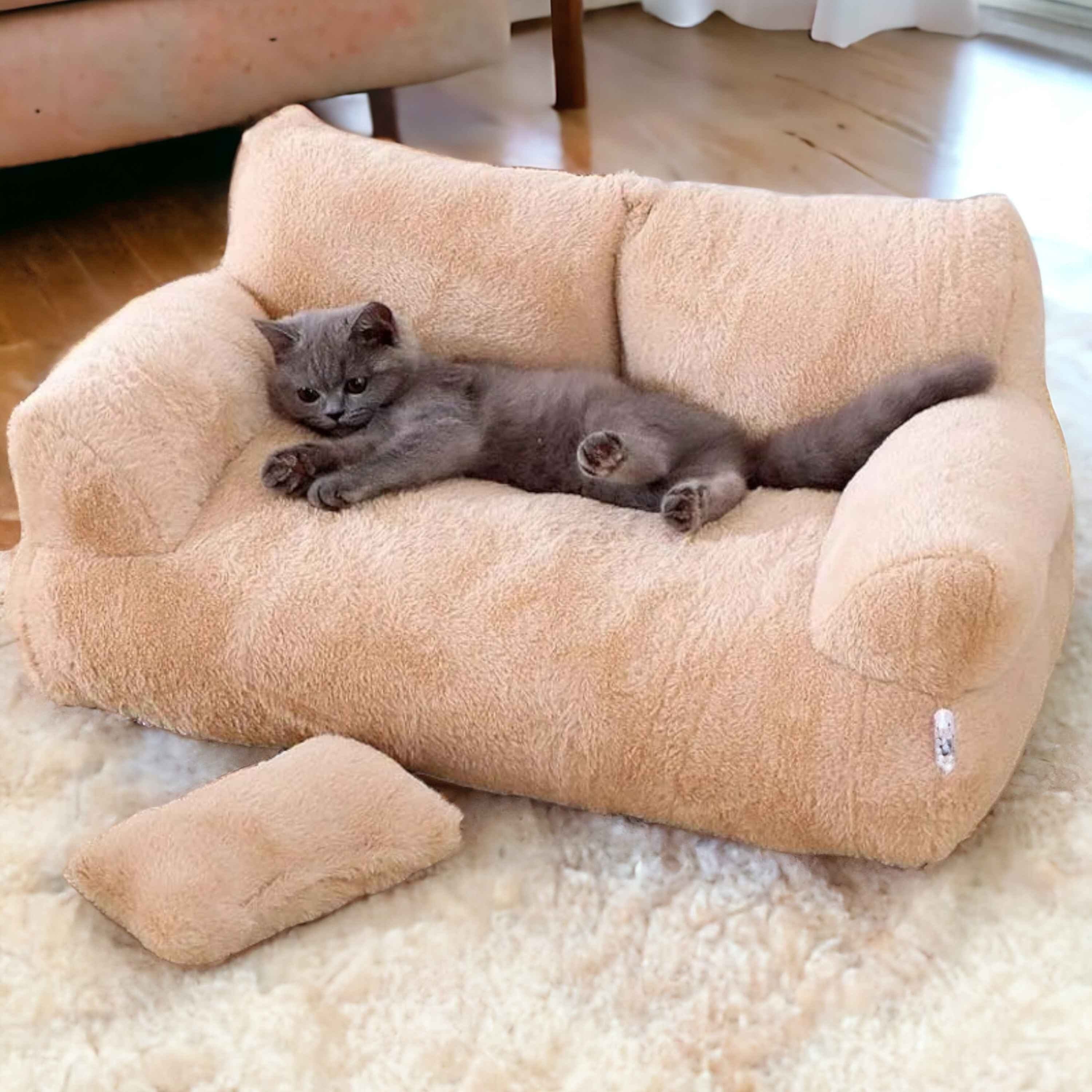 Tiny couch cheap for cats