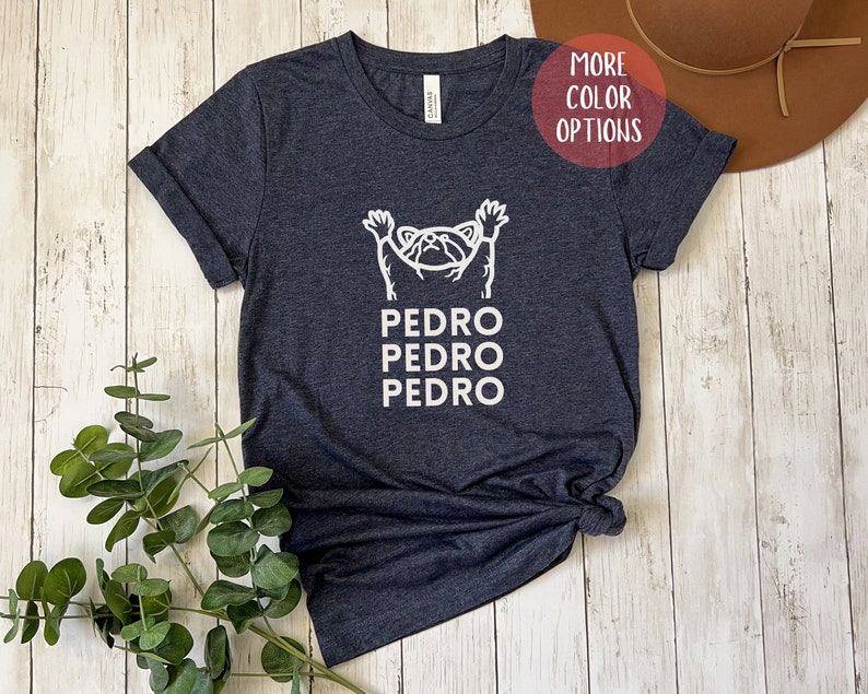 Funny Dancing Raccoon Meme Shirt, Pedro Pedro Pedro, Funny Meme Shirt ...