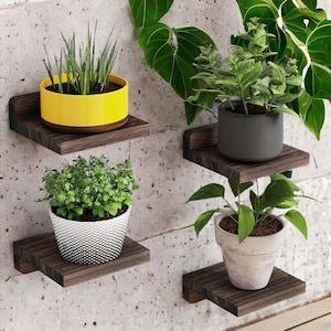 Puede incluir: Cuatro estantes de madera montados en una pared, cada uno con una planta en maceta. Los estantes son de color marrón oscuro y las plantas están en macetas de varios colores, incluyendo una maceta amarilla, una maceta negra, una maceta con estampado blanco y una maceta gris.