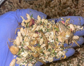Biologisch rattenvoer: niervriendelijke mix van hele voedingsmiddelen