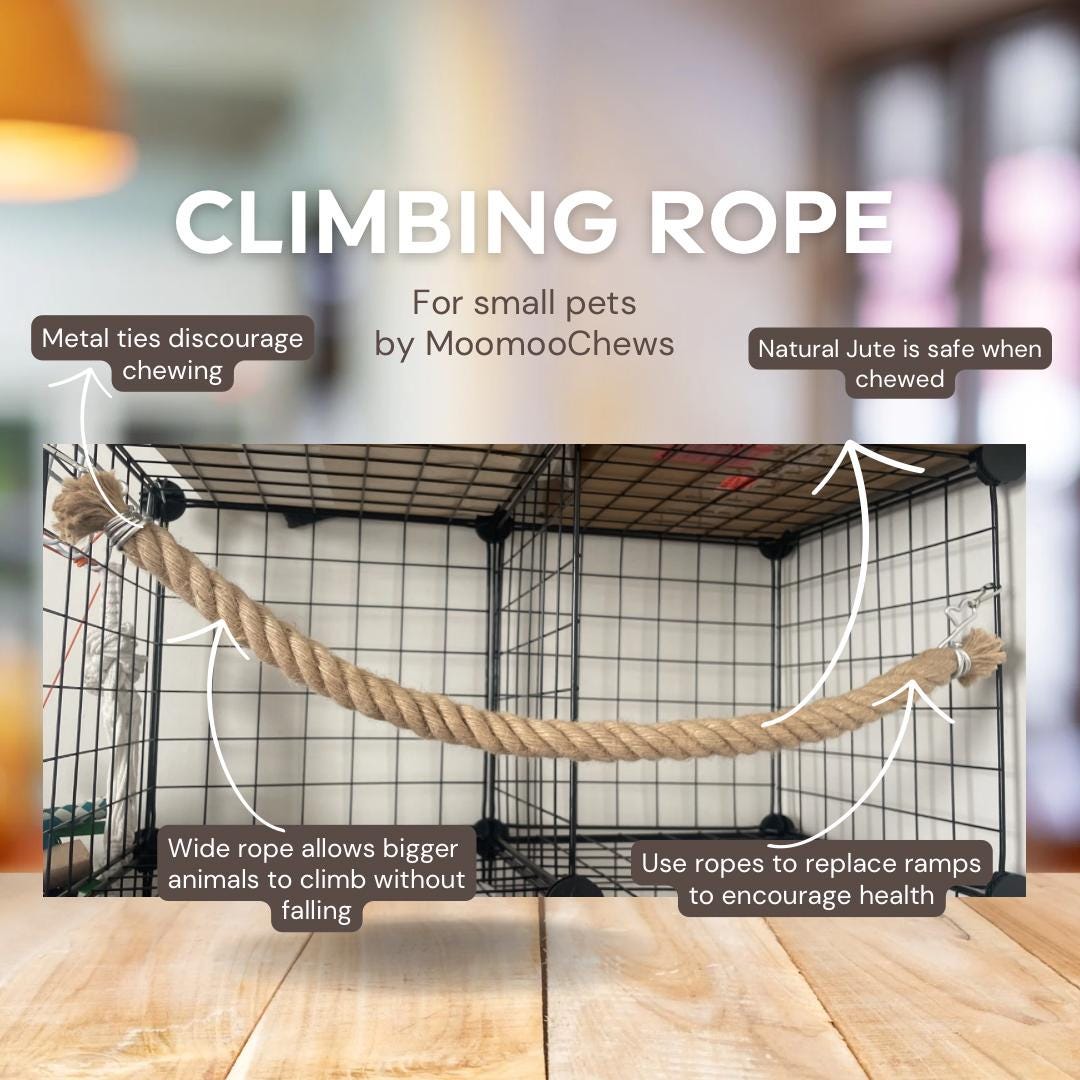 Tide Small Rope Cage Climbing Ropes - Exercise Rope Small Animal Cage - Etsy